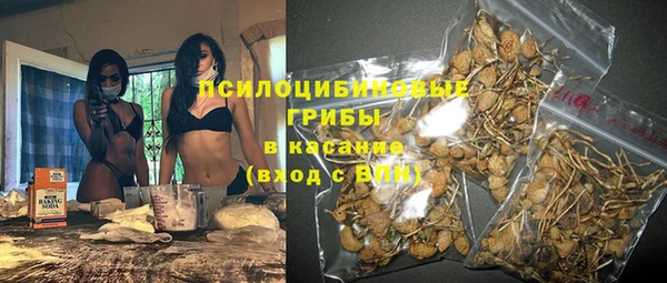 молекула духа Михайлов