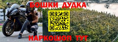 PSILOCYBIN Кандалакша
