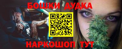 PSILOCYBIN Кандалакша
