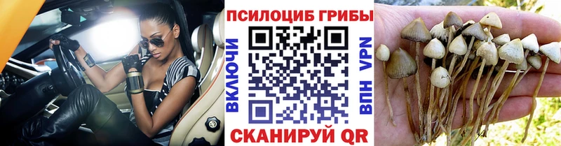 купить наркотик  Сокол  Галлюциногенные грибы мухоморы 