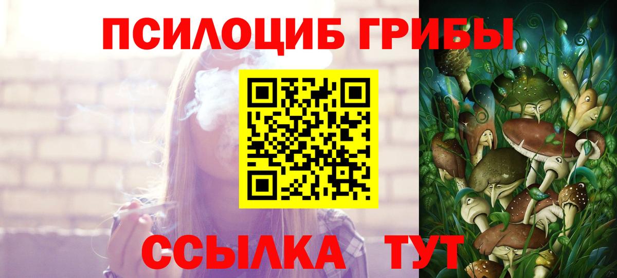 Псилоцибиновые грибы GOLDEN TEACHER  Вход с VPN  где найти   Псилоцибиновые грибы GOLDEN TEACHER  Сокол 