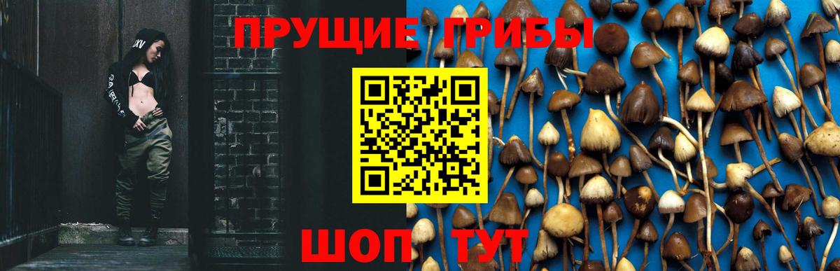 Галлюциногенные грибы мухоморы Сокол